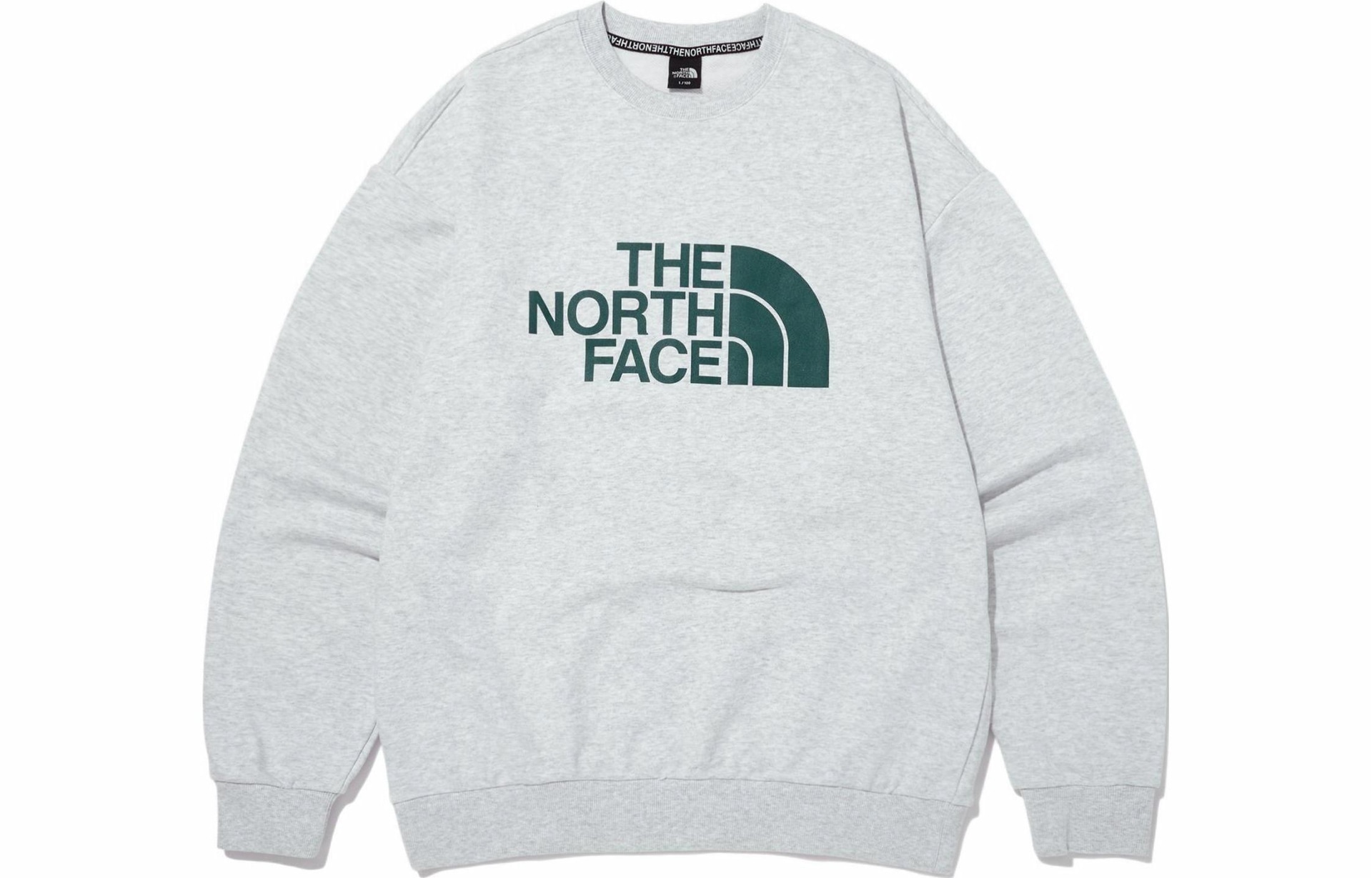 Худи The North Face Logo