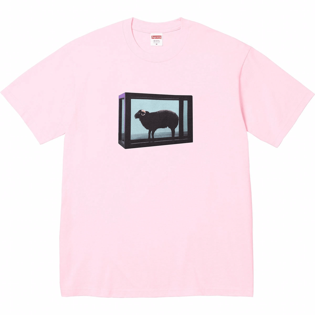 Supreme x Damien Hirst Tee