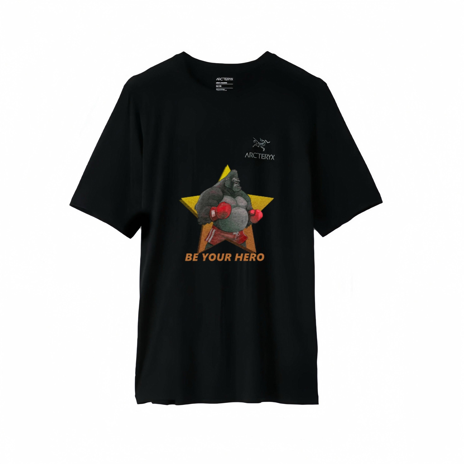 Футболка Arcteryx T