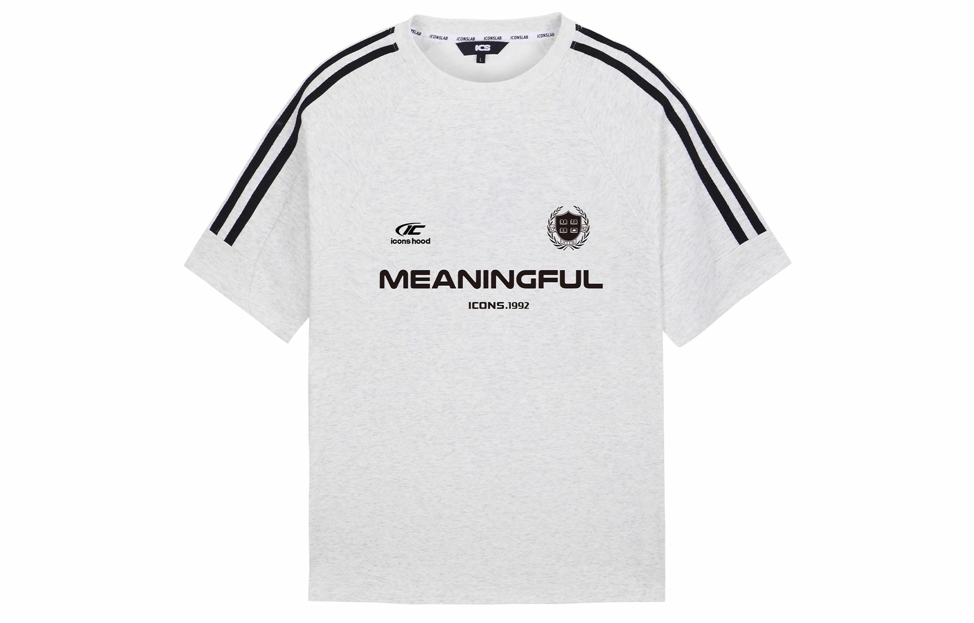 ICONS Lab T