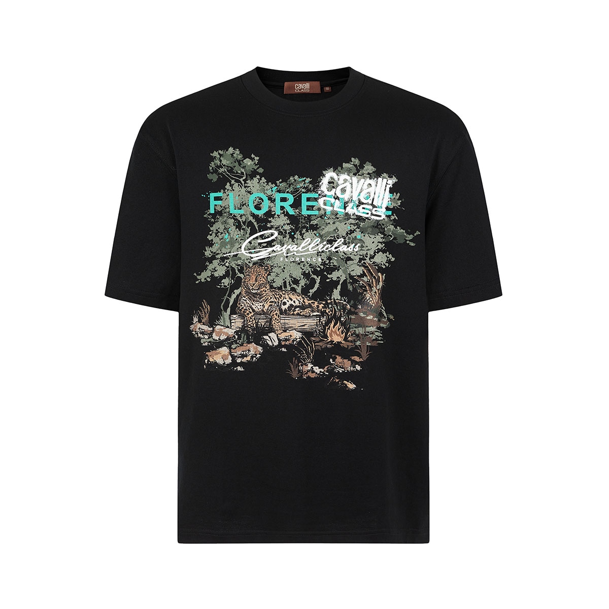 Cavalli Class T