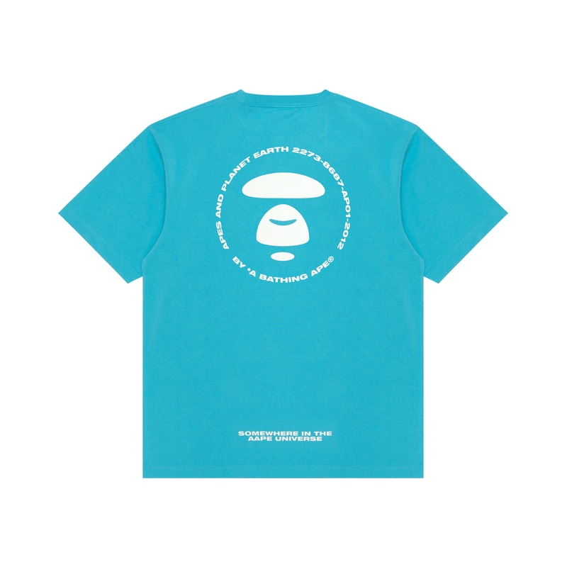 Aape T