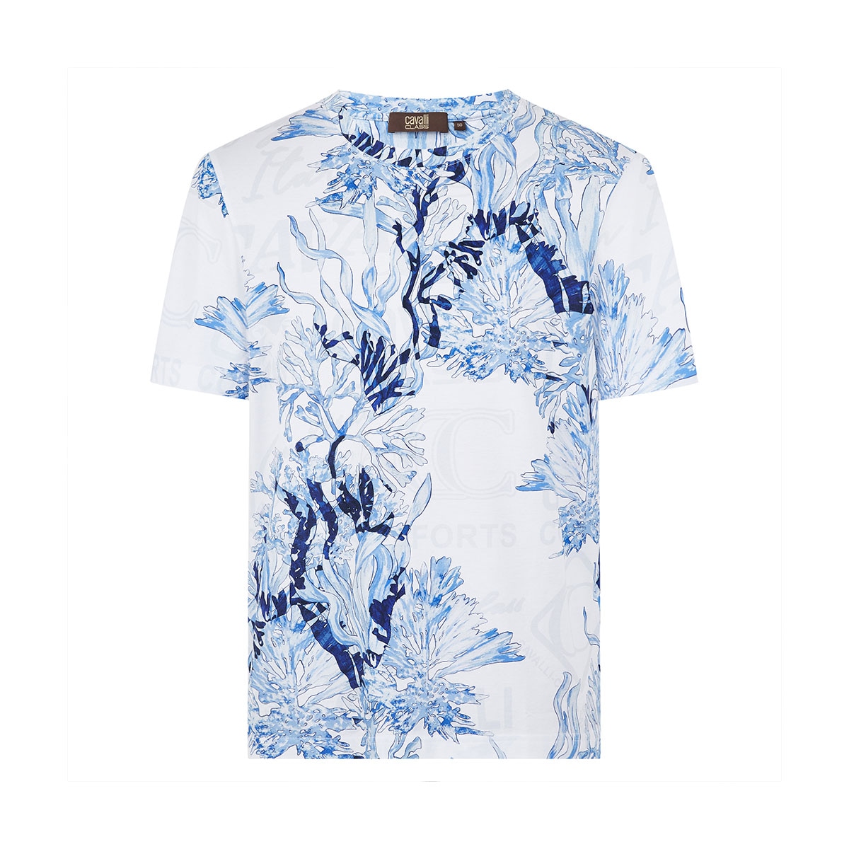 Cavalli Class T