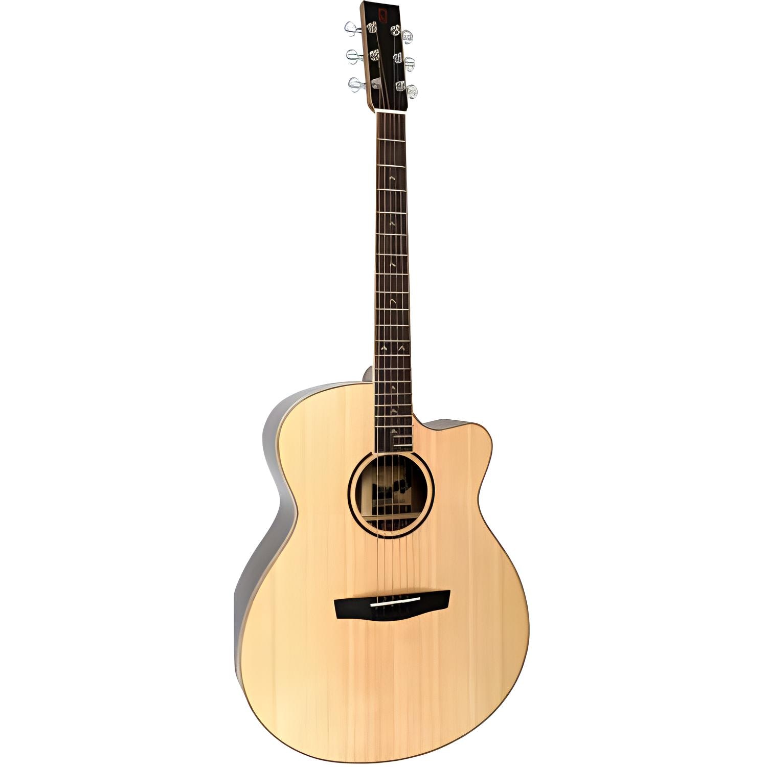 李吉他 LEE GUITARS LEE GUITARS () (S3SR) Fishman
