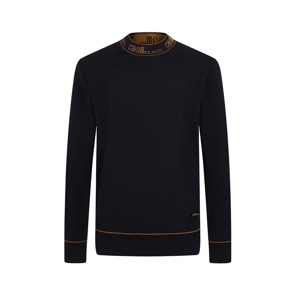 Cavalli Class Sweater