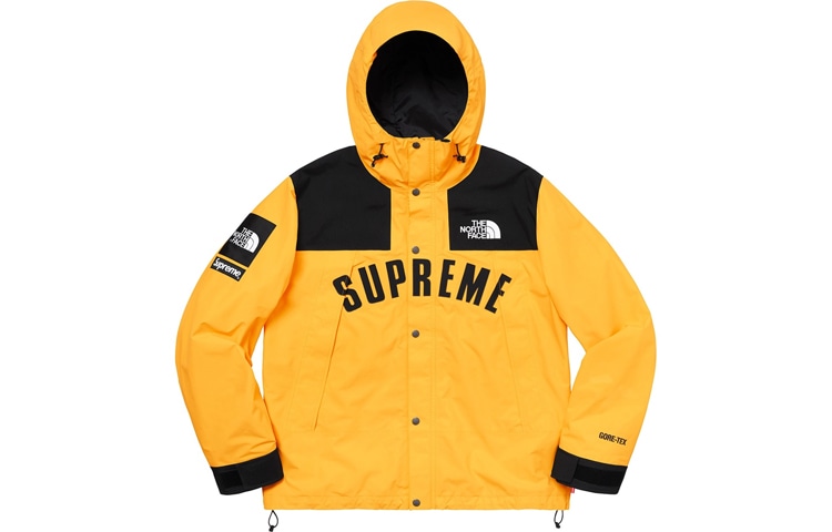 Supreme x The North Face