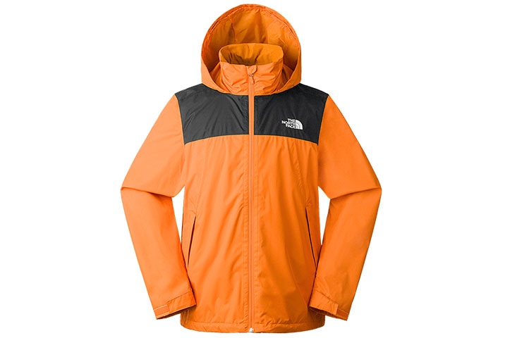 The North Face Logo