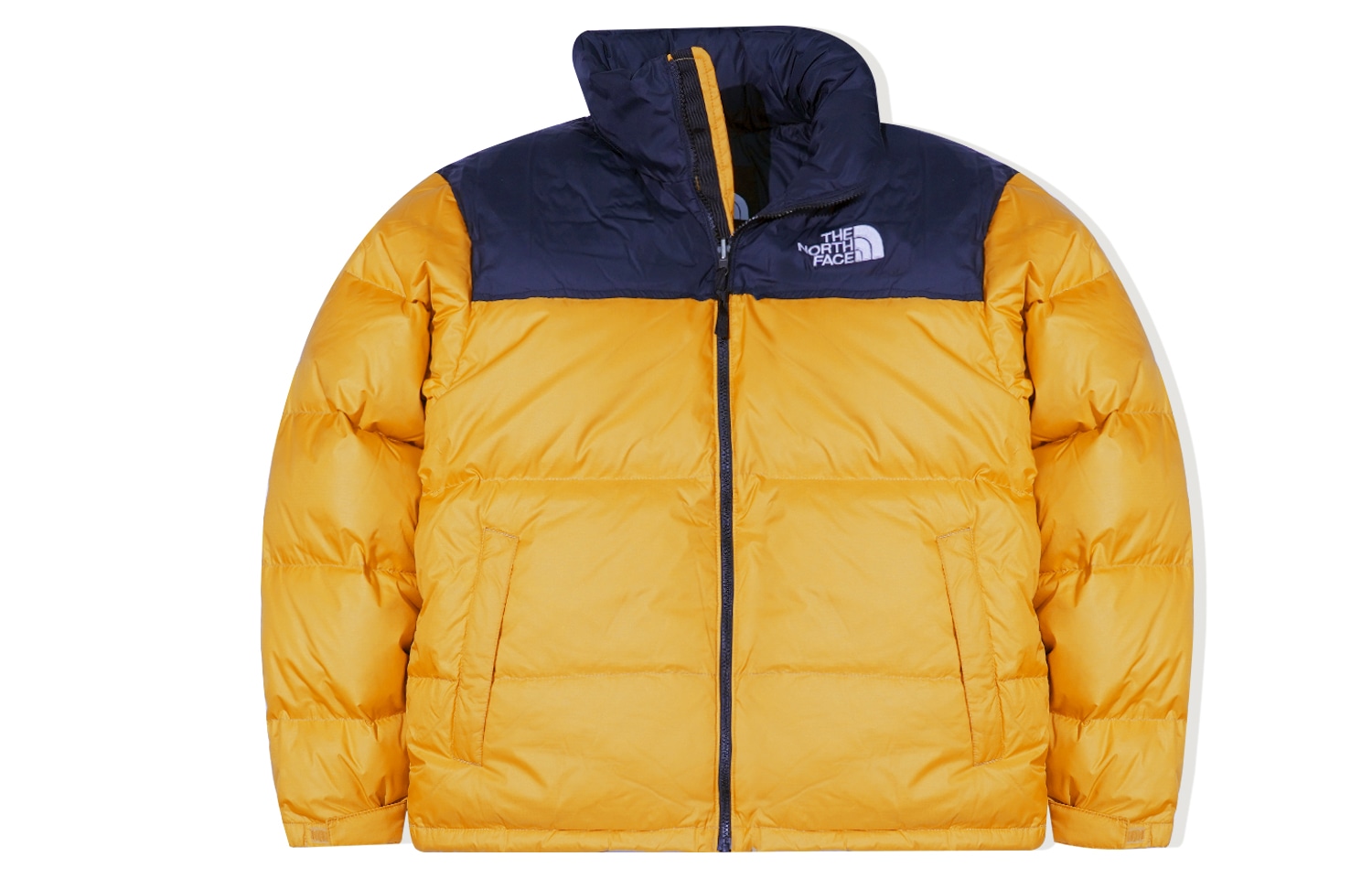 The North Face 1996 Retro Nuptse 700