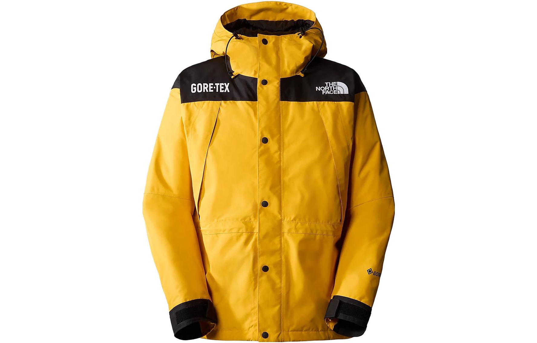 北面/THE NORTH FACE The North Face GTX Mountain Jacket
