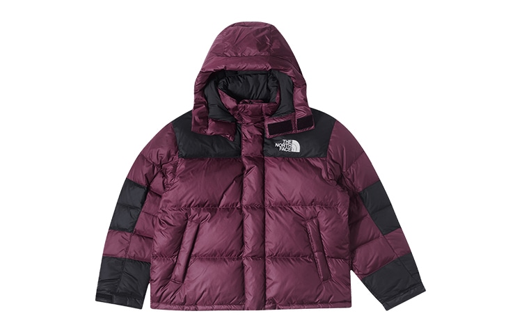 北面/THE NORTH FACE The North Face Urban Exploration 600 Fill Down Jacket