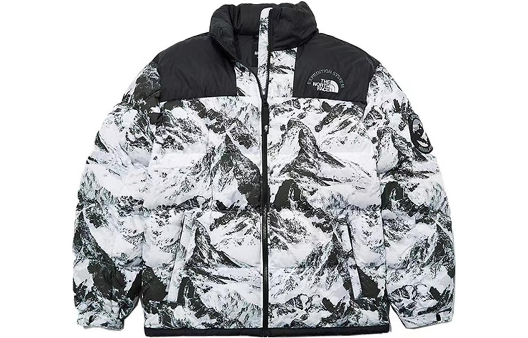 北面/THE NORTH FACE The North Face FW22 Down Jacket Black