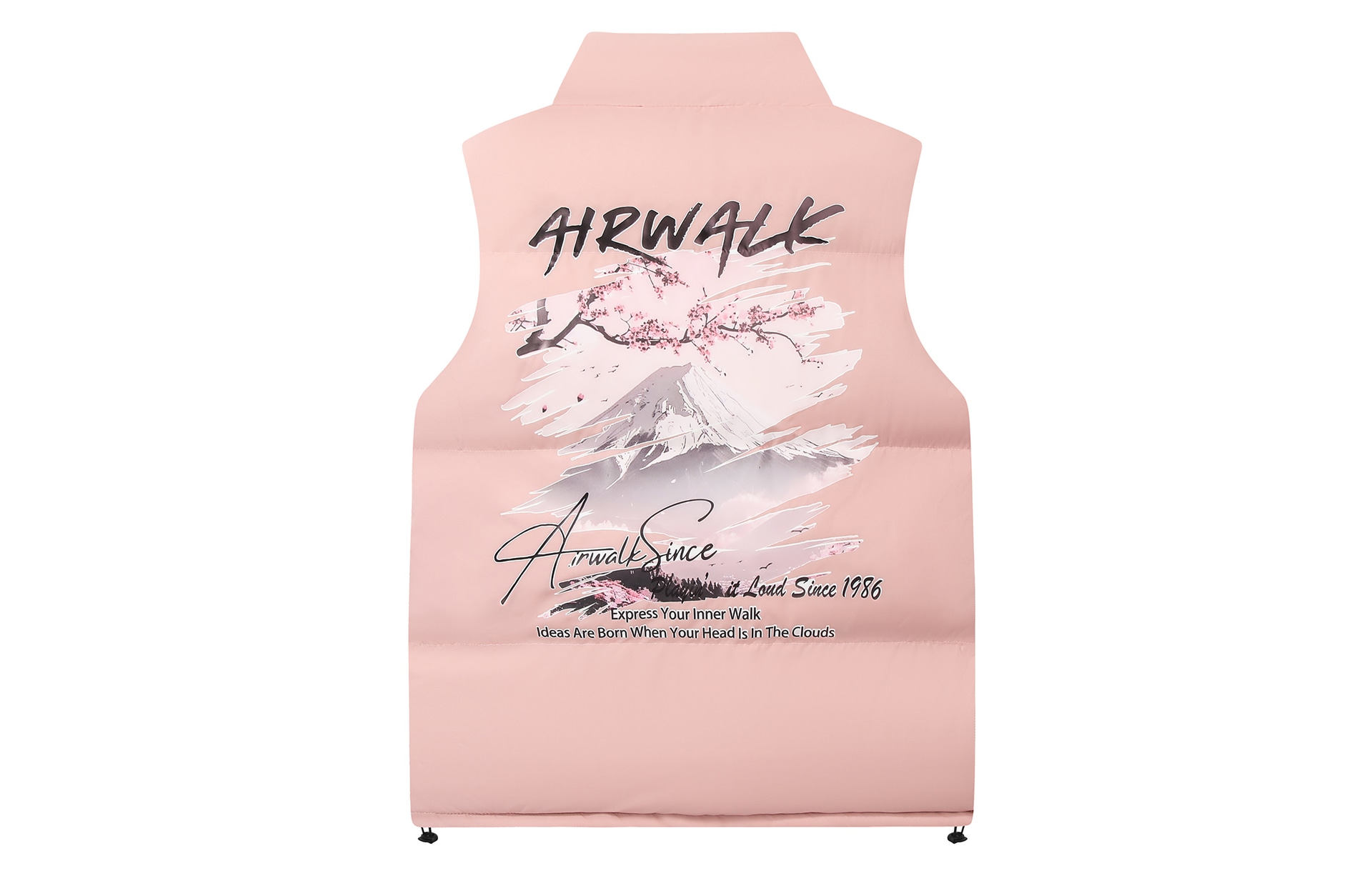 Airwalk Logo