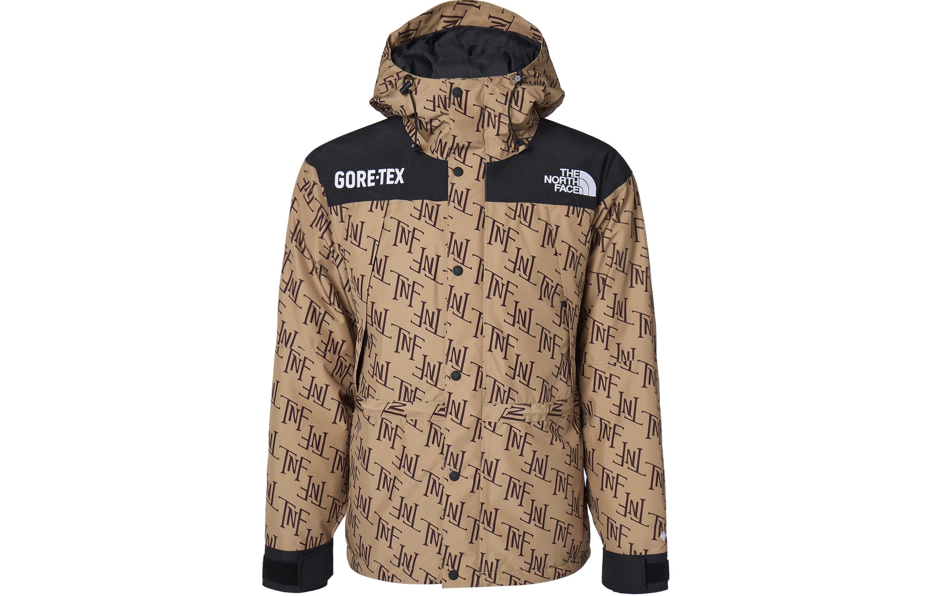 The North Face GORETEX600 Almond