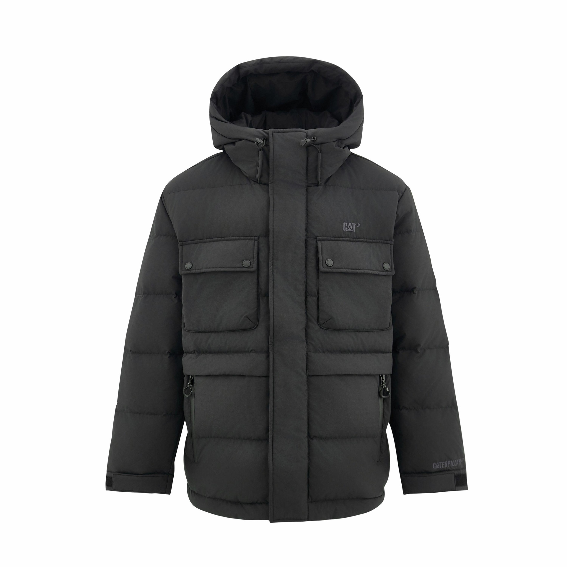 CAT FW24