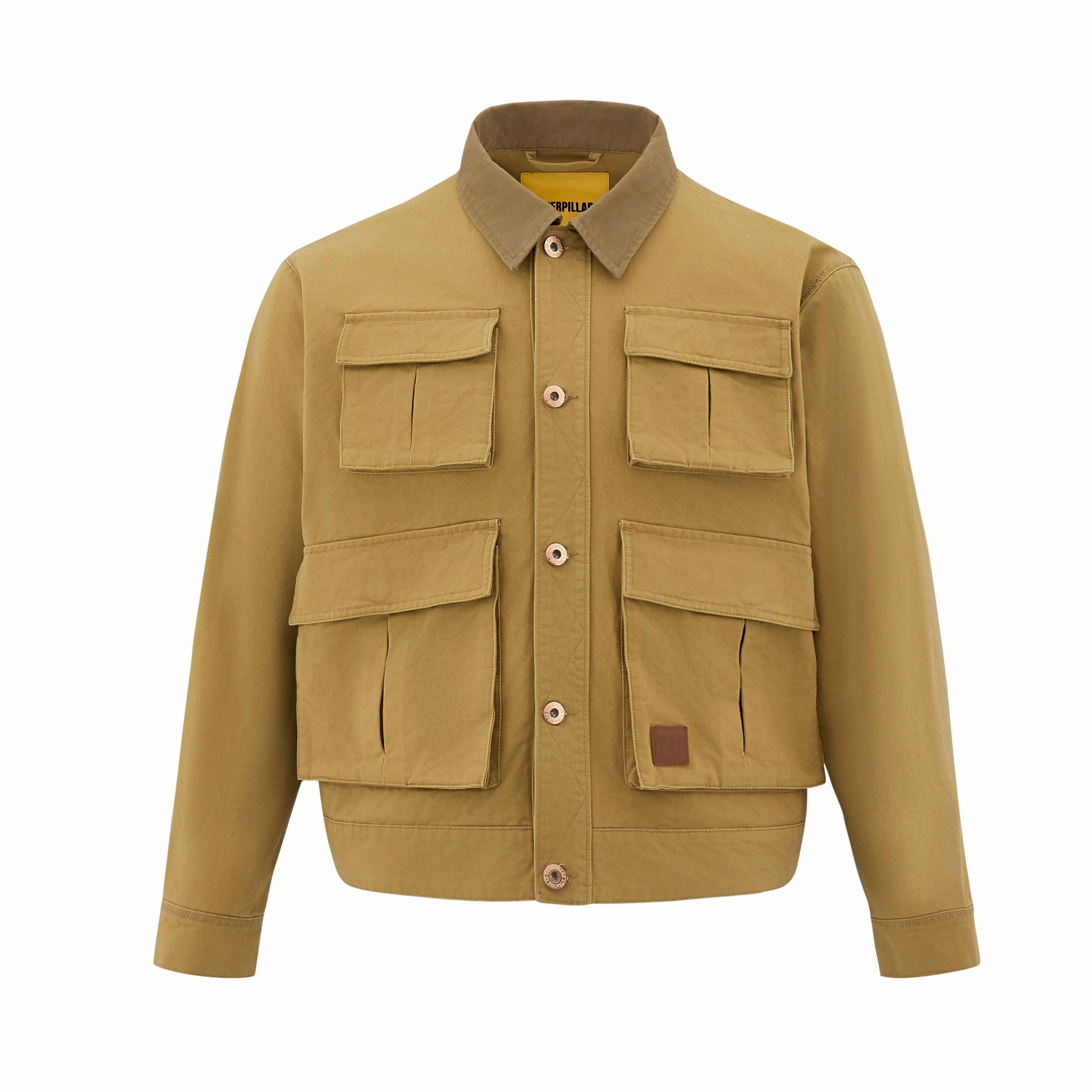 CAT FW24