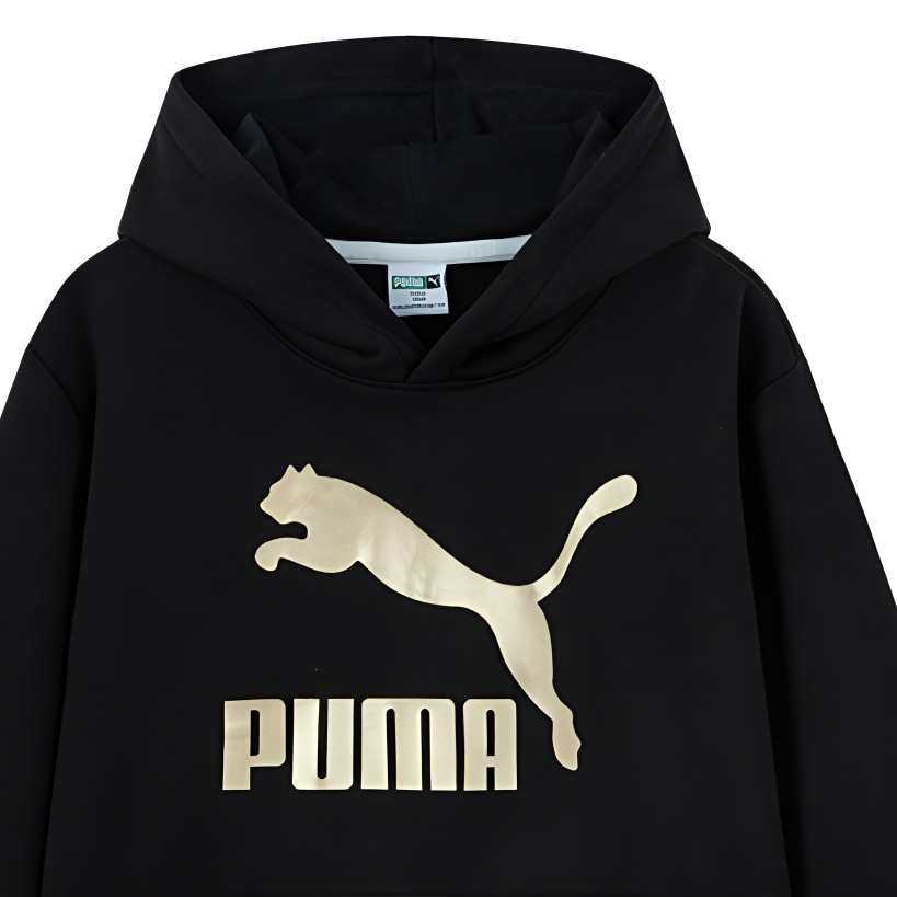 Puma SportstyleCLASSICS BIG LOGO HOODIE — фото 2