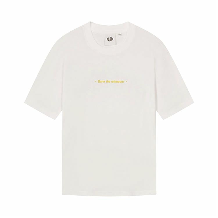 Palladium T