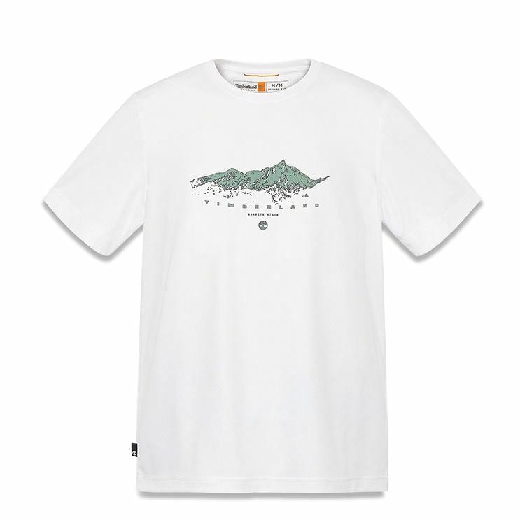 Футболка Timberland T