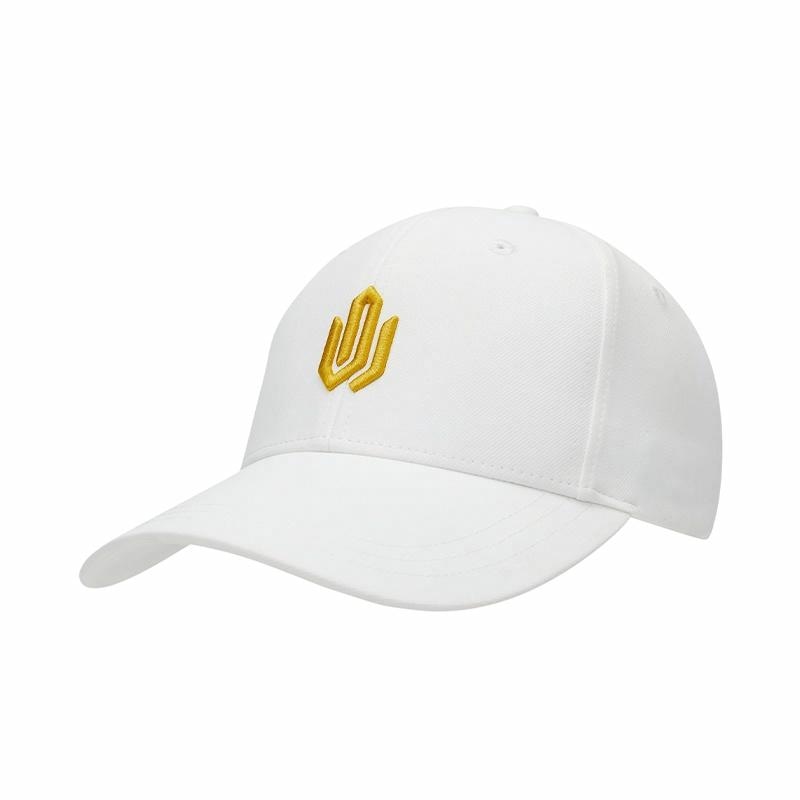 匹克 Peak Wiggins Embroidered Cap