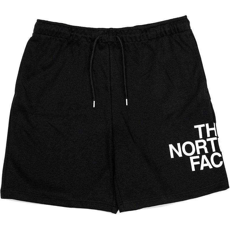 Брюки The North Face Logo
