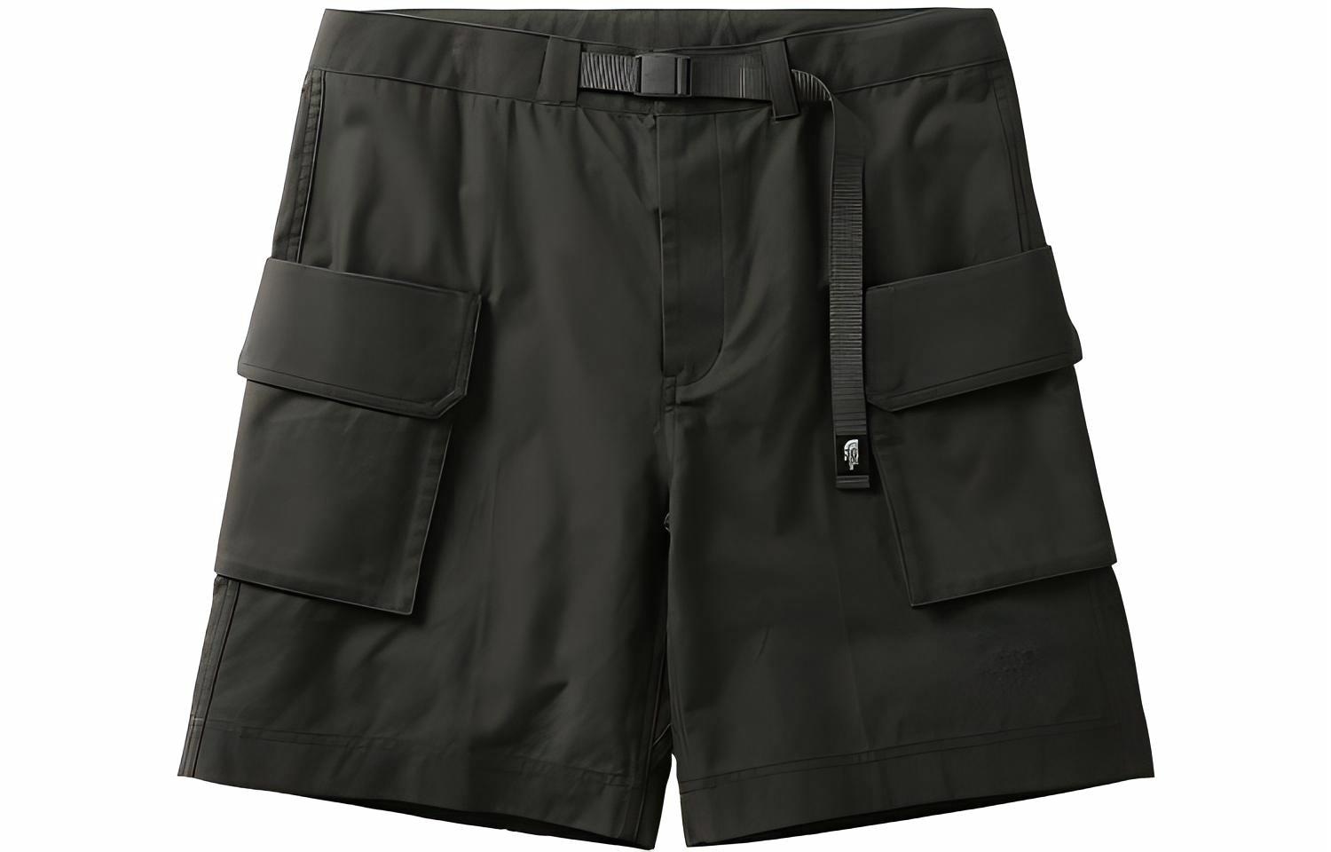 Брюки The North Face City Short Green