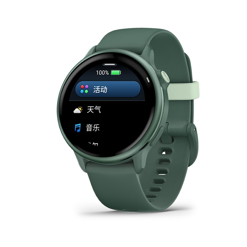 Часы Garmin Active 6