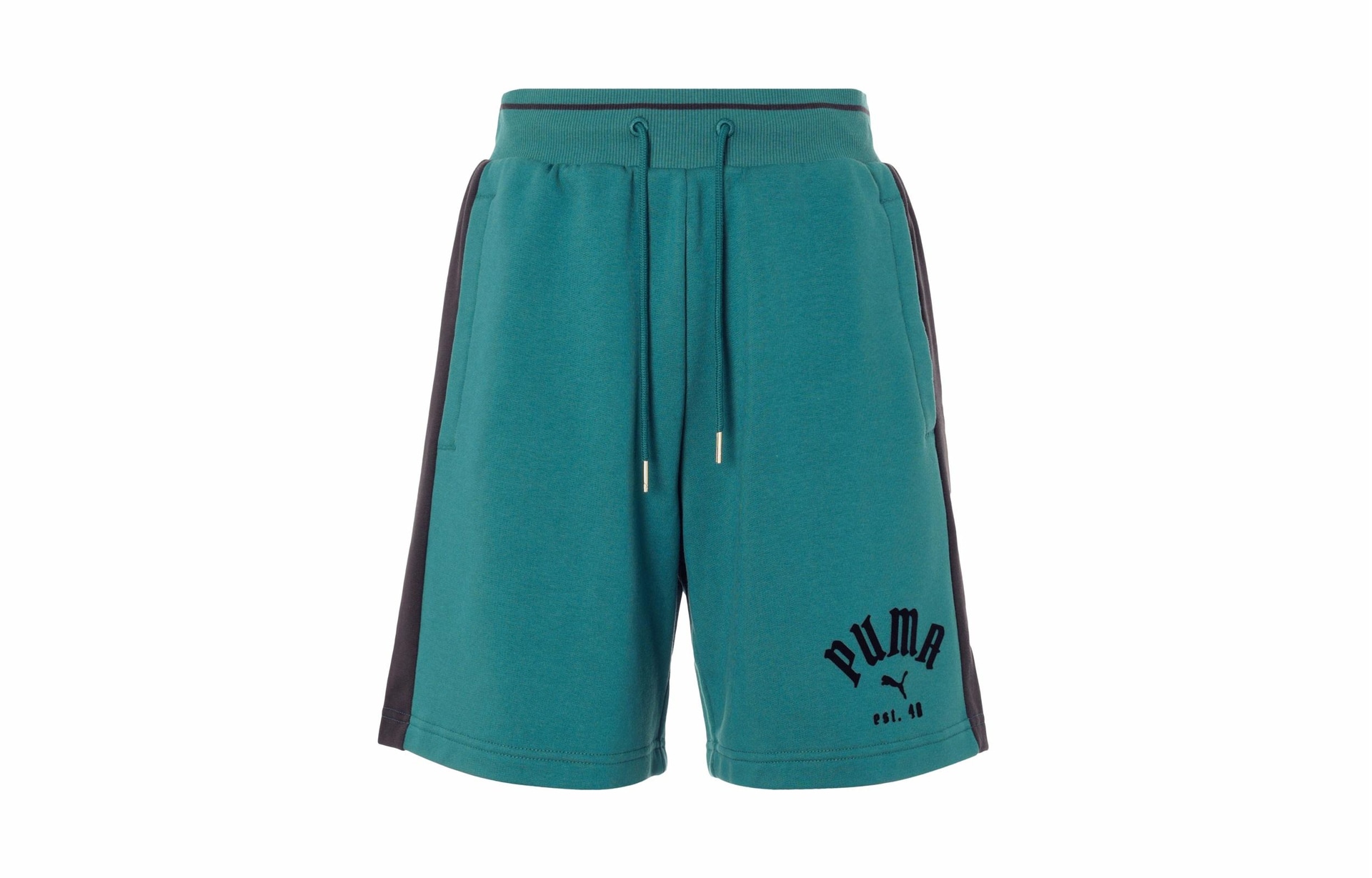 Брюки Puma Shorts