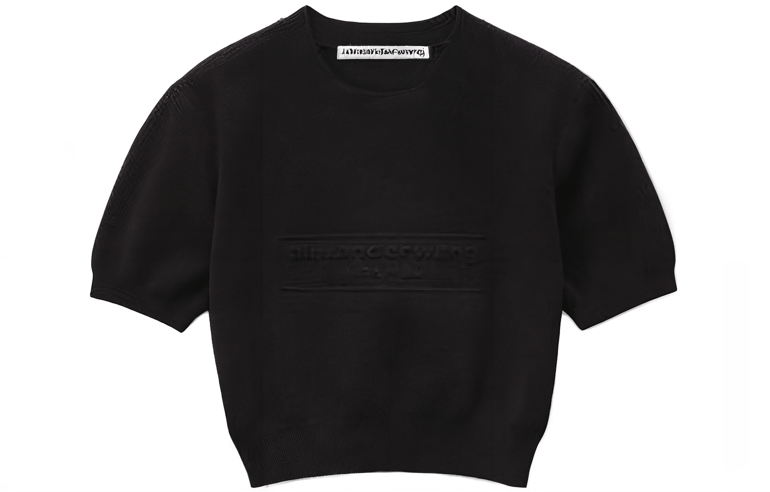 alexander wang T
