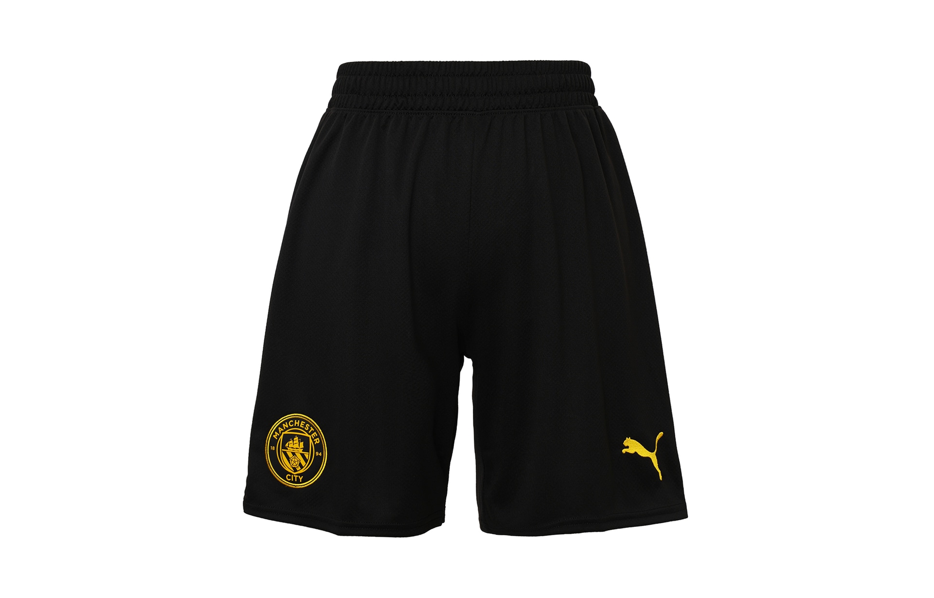 Puma 2022-23 Logo