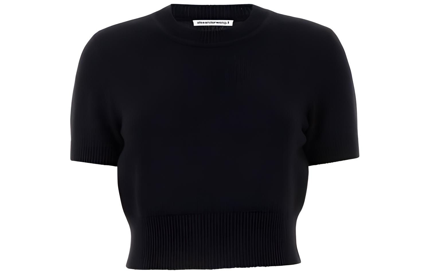 alexander wang T