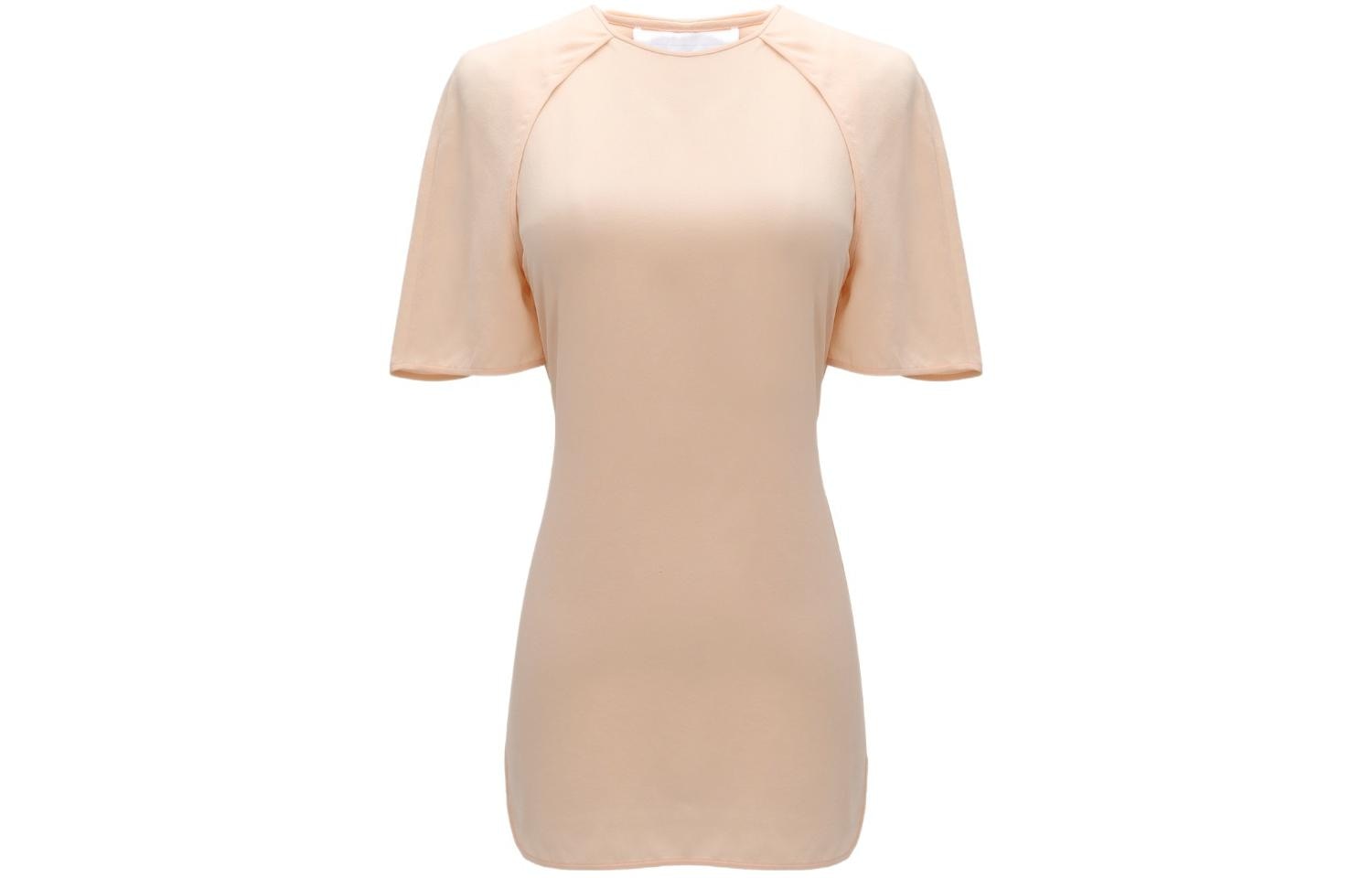 alexander wang T