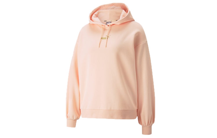 Puma Winterized Hoodie Logo