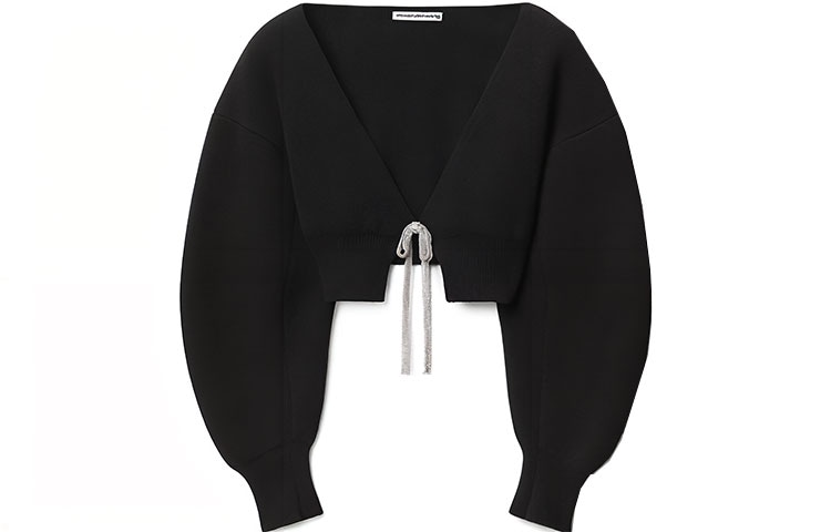 alexander wang SS23 V