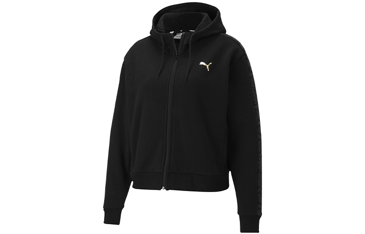 Puma Metallic Logo