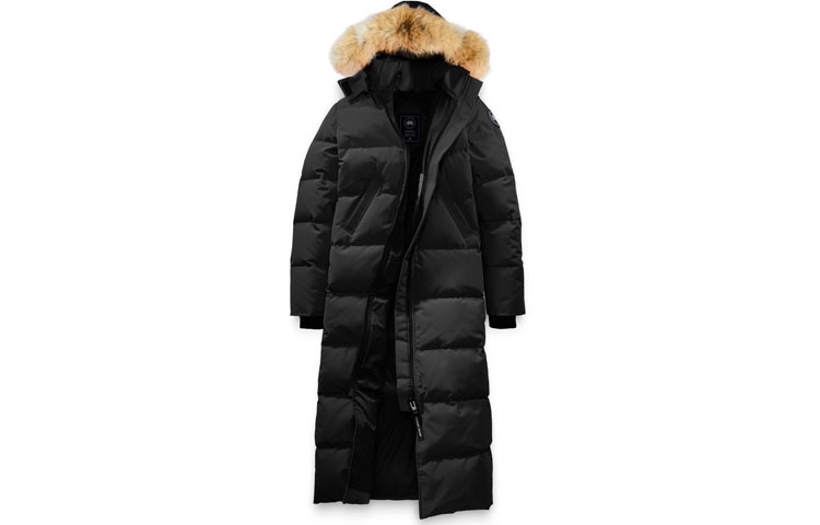 Canada Goose