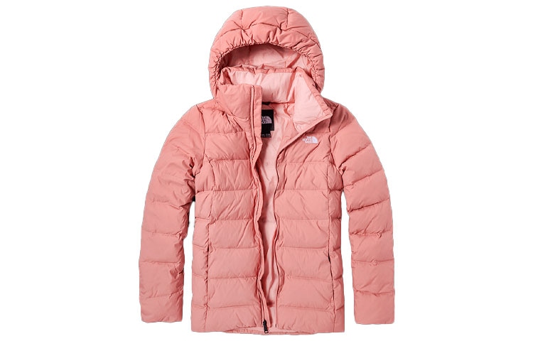 The North Face Logo550