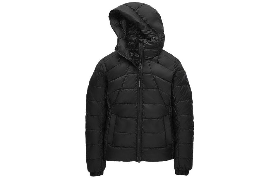 Canada Goose