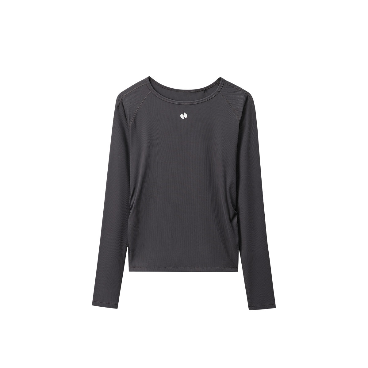 HOTSUIT logo T