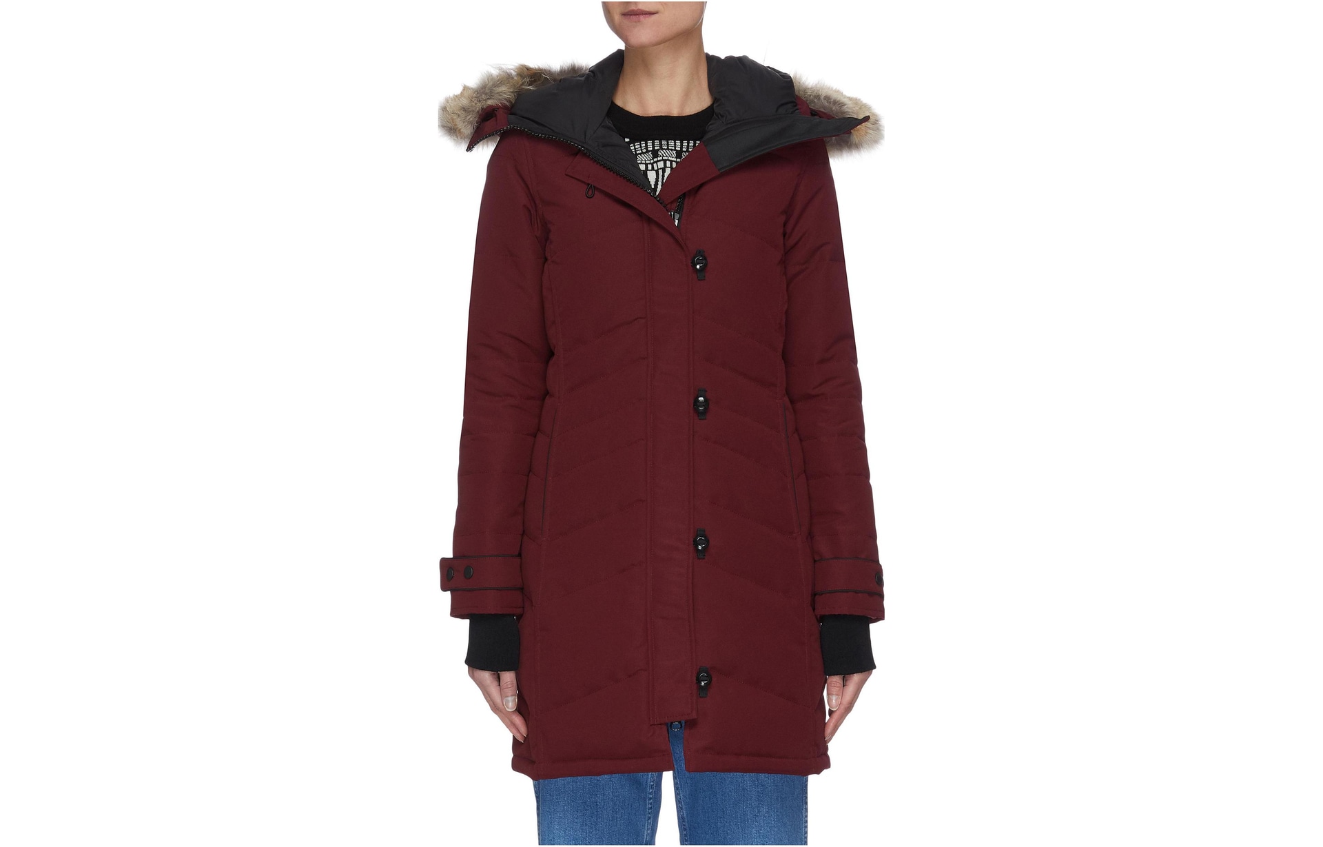 Canada Goose