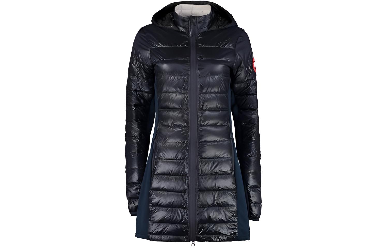 Canada Goose