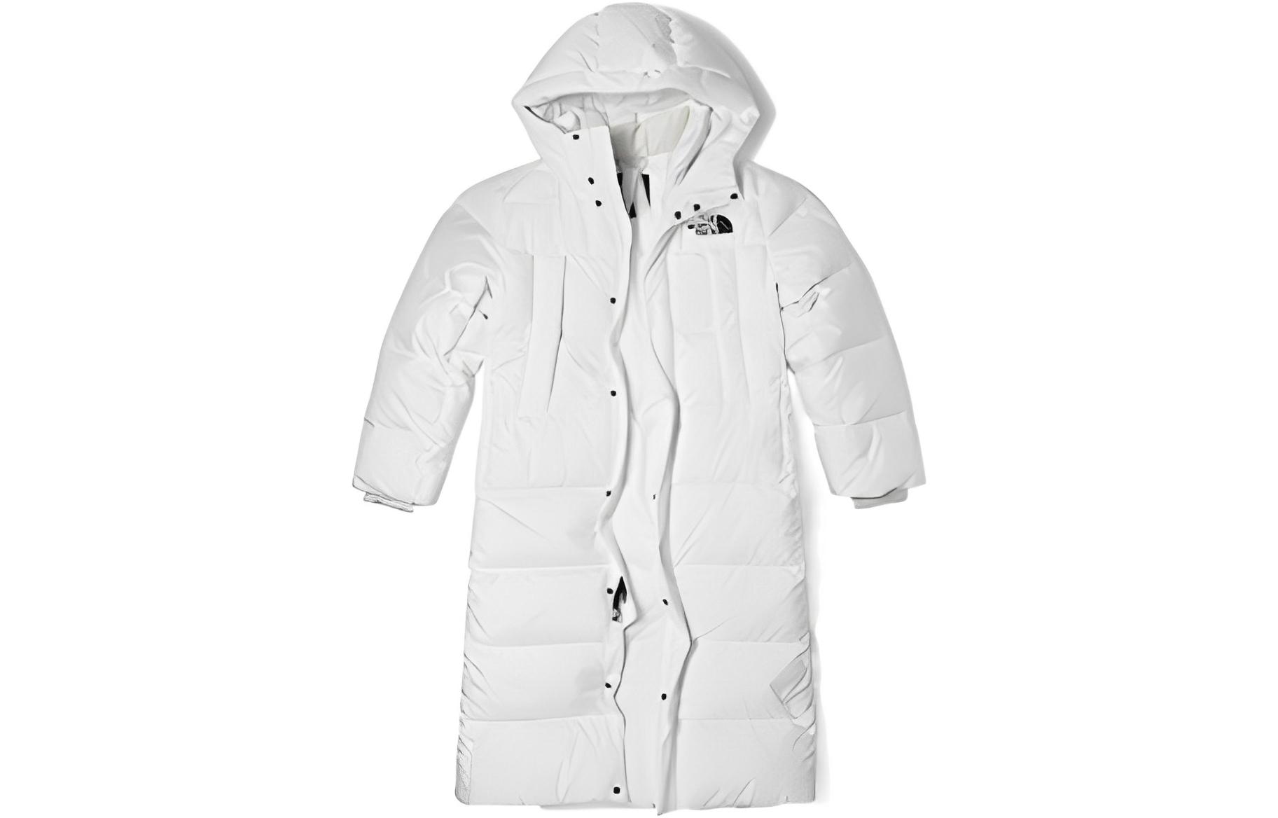 The North Face FW22 Logo