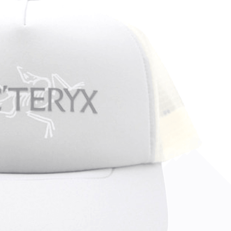 Arcteryx YCSJ - — фото 2