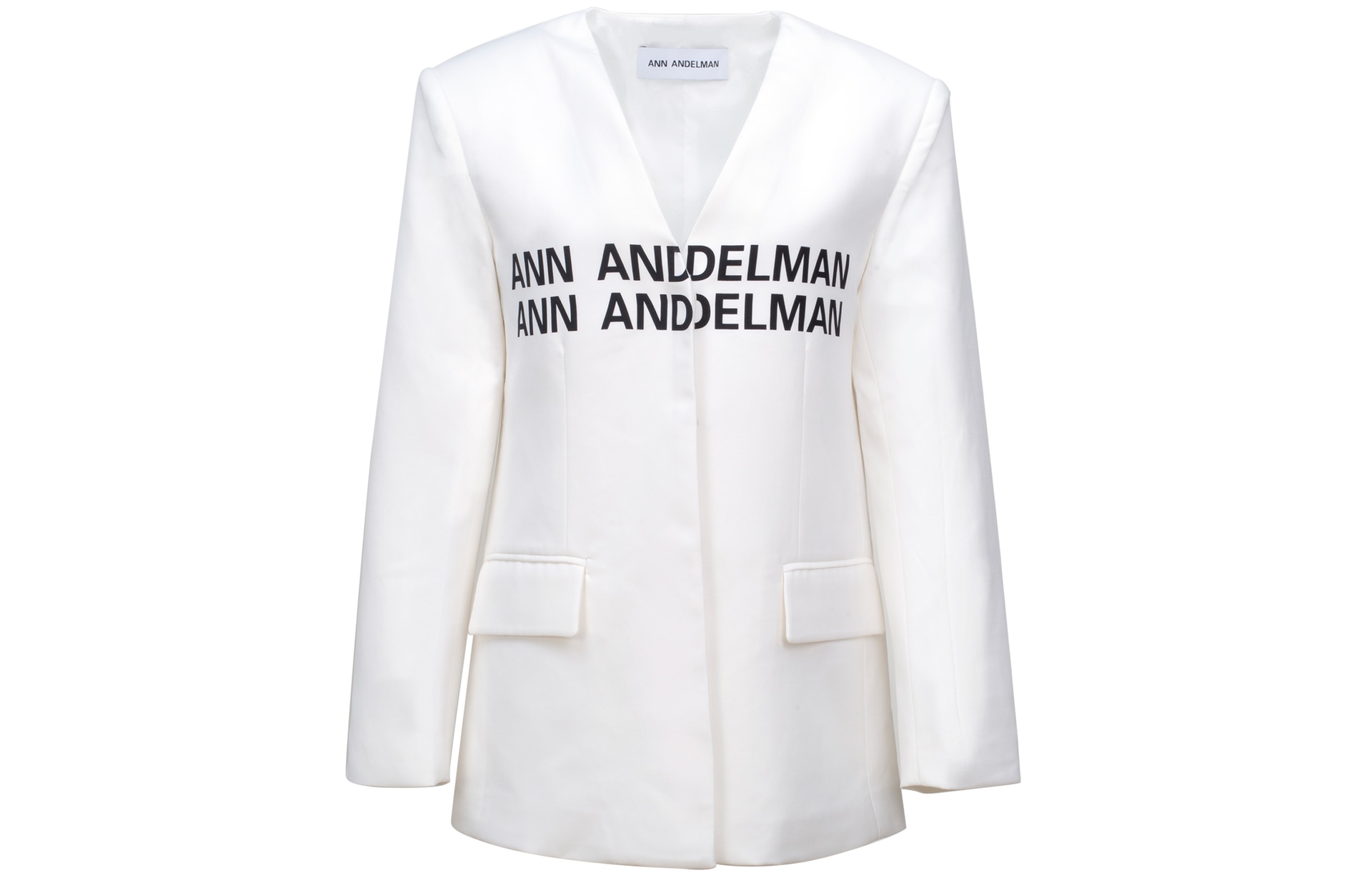 Ann Andelman LogoV