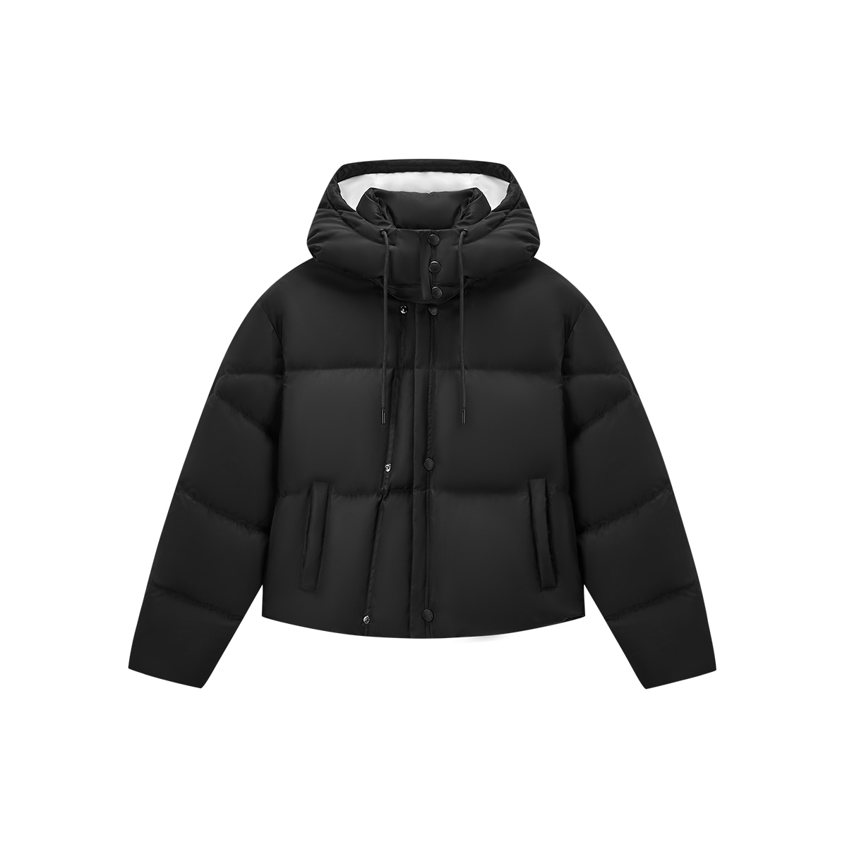 DEGAIA FW24