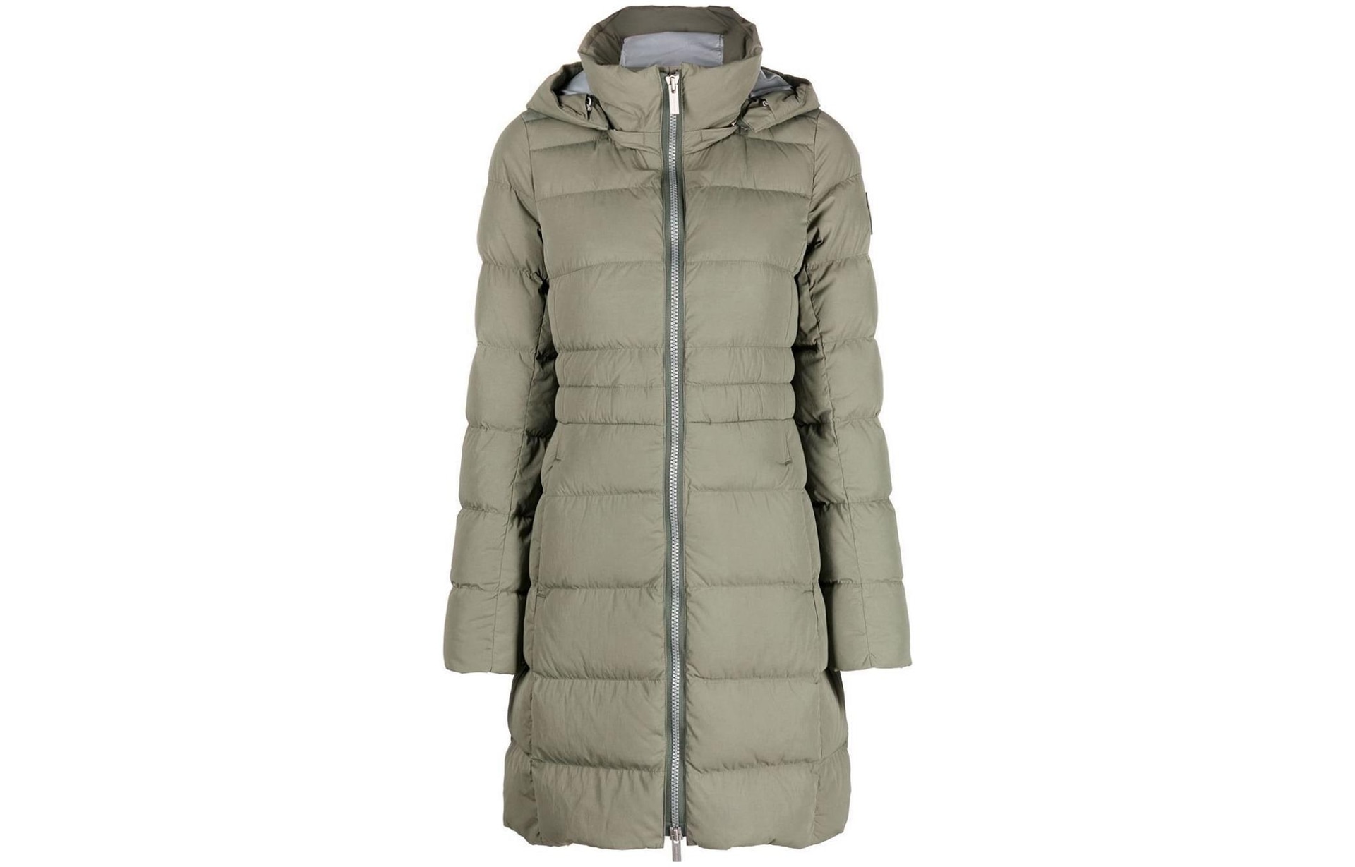 Canada Goose