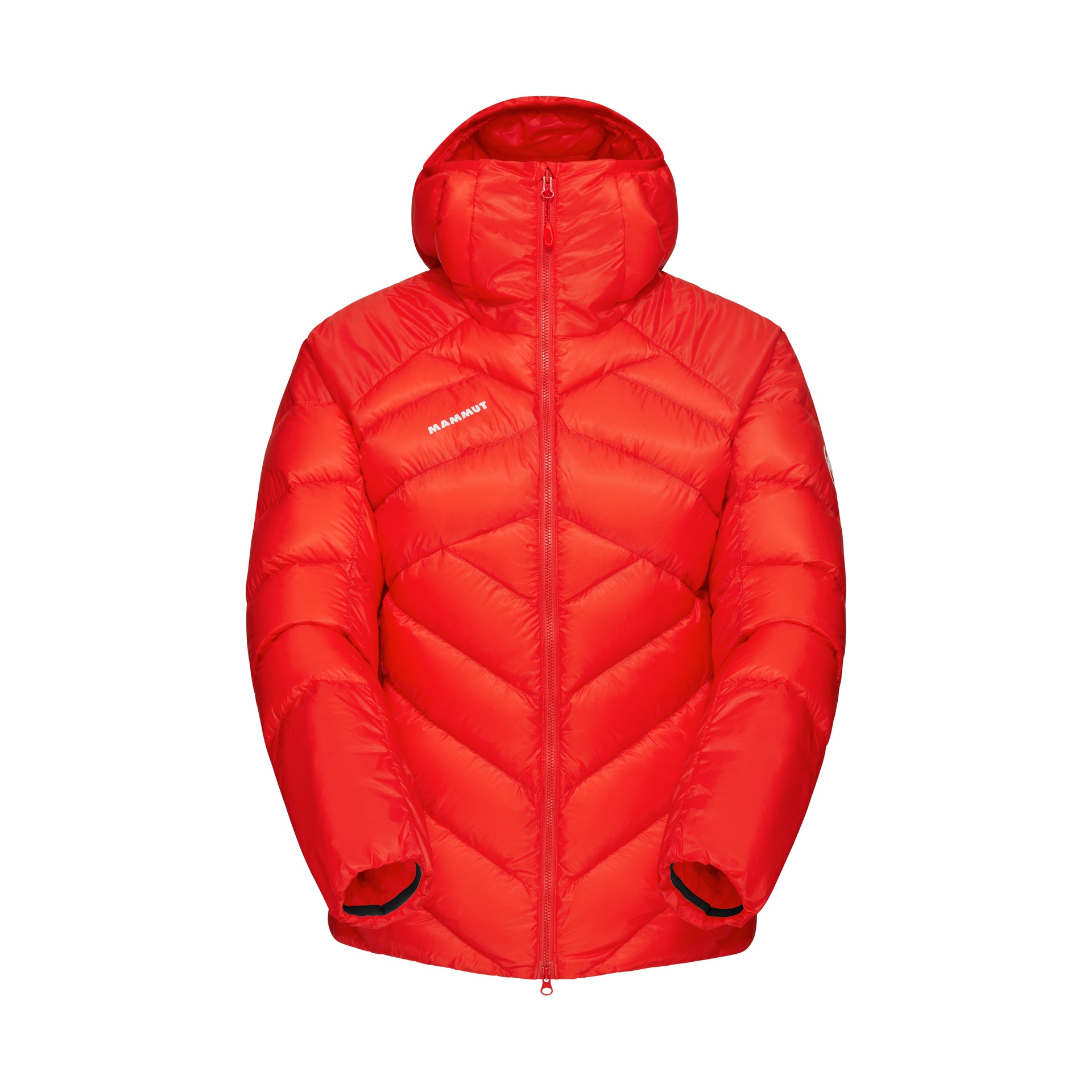 MAMMUT猛犸象 MAMMUT Taiss logo