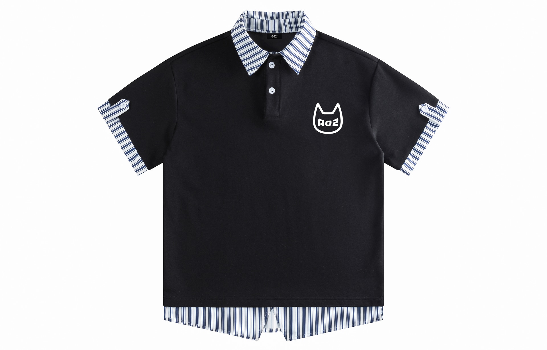a02 logoPolo