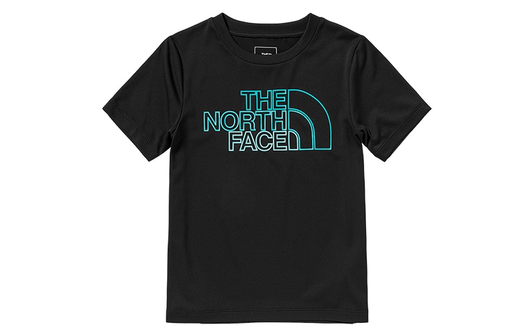 Футболка The North Face LogoT