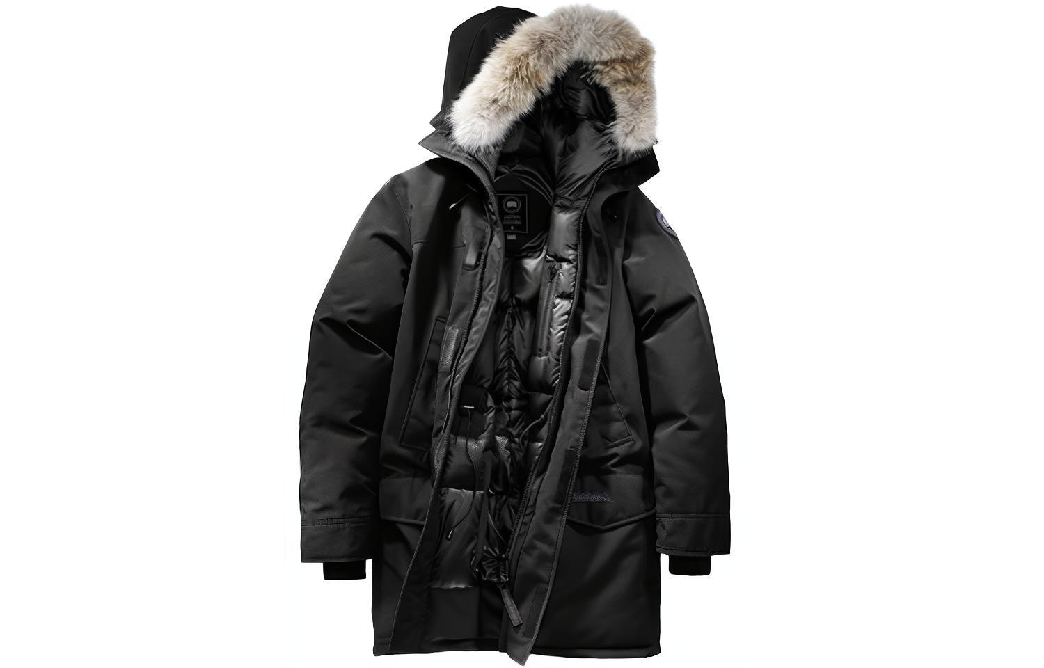 Canada Goose