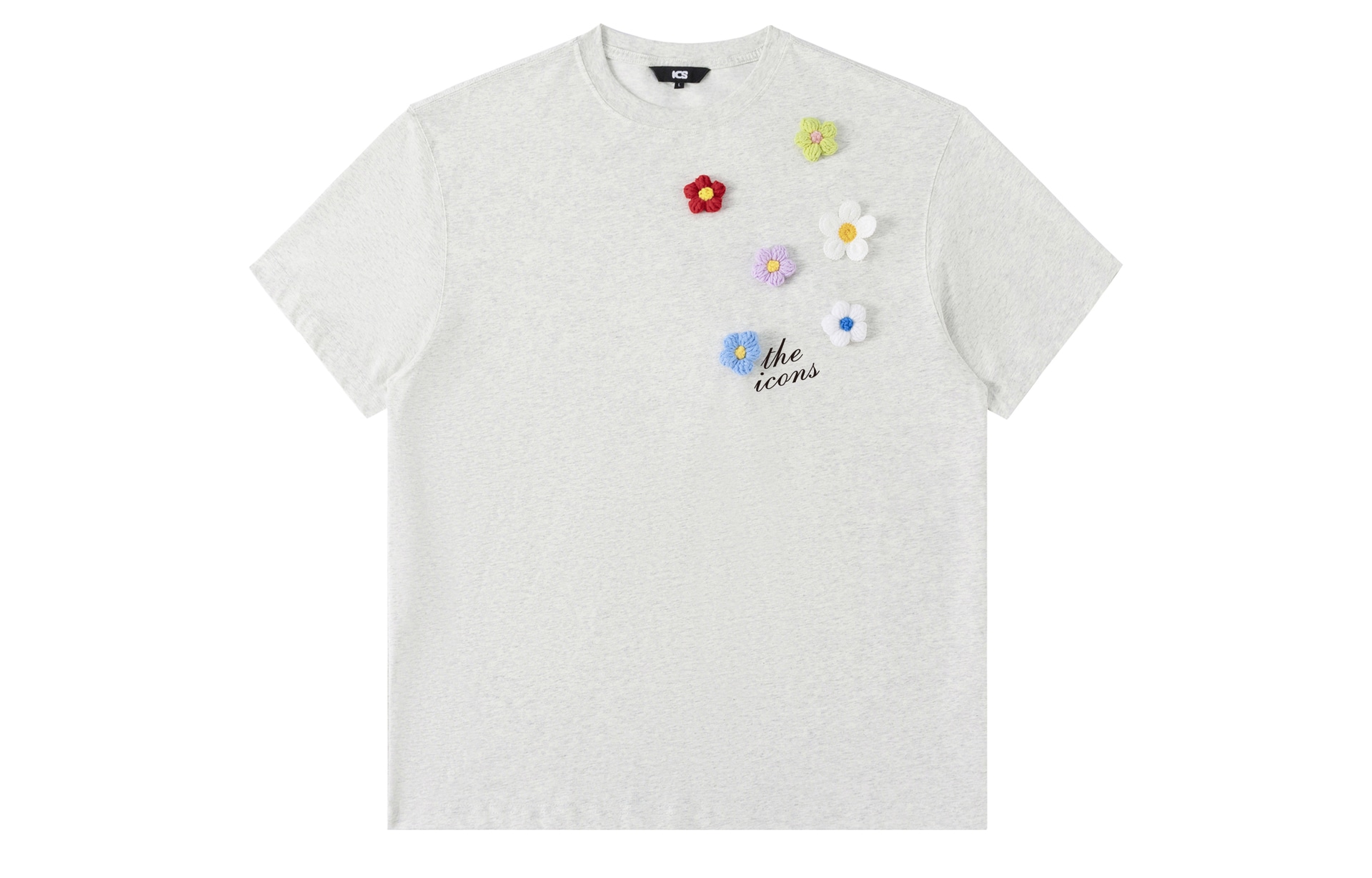 ICONS Lab ICS T